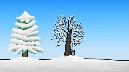 Как дърветата оцеляват през зимата?