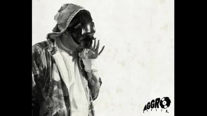 Fler feat Kitty Kat Tony D Sido Aggro Collabo New 2009 