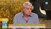 БУНТЪТ НА ЗЕМЕДЕЛЦИТЕ: Как украинското зърно раздели производители и преработватели
