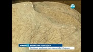 Откриха древна гробница със сфинксове в Гърция - Новините на Нова