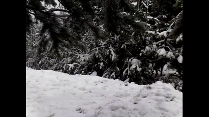 рали в боровец