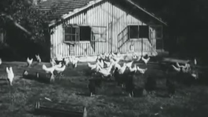 Две победи, 1956 г.