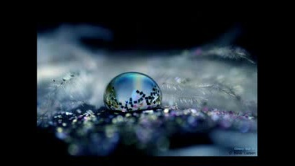 Angel Tears.avi