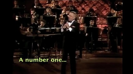 Frank Sinatra - New York, New York (karaoke)