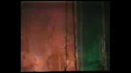 the monsters - wild wild lover