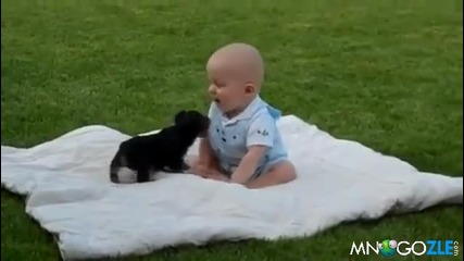 Кутре атакува бебе