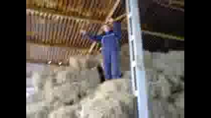 Ohhhhhhh Malko Zabolq