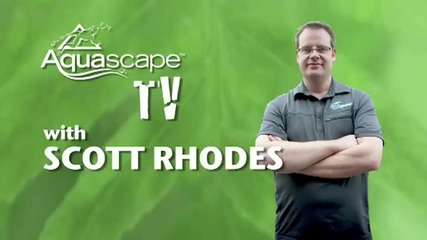 How to Create a Patio Pond by Aquascape