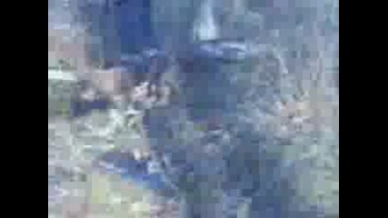 Видео002.3gp
