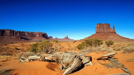 Kazusa - Lizard (original Mix)