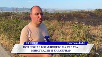 Новините на ВИА Медия - 11.08.2026