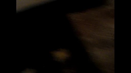 Mov02029