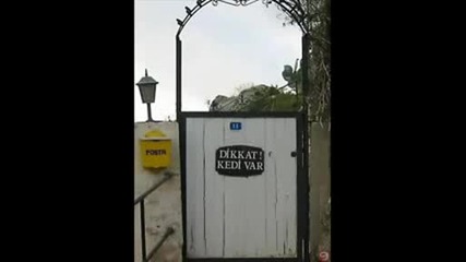 cok Komik Resimler 2009