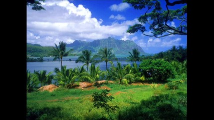 Dj Andrenaline - Hawaii
