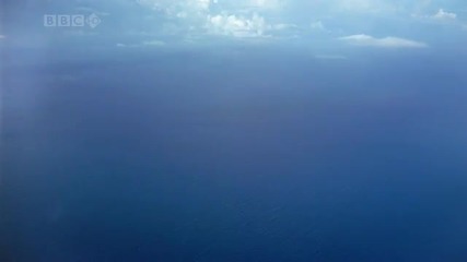 The Ocean
