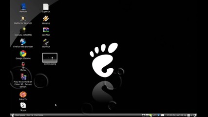 My Linux Ubuntu 10.04 Lts Netbook Edition 