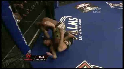 Жесток Head Kick 