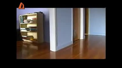 Котка прави як дрифт