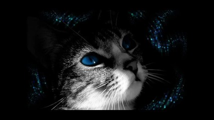Within Temptation - Lost