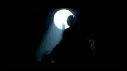 miley cyrus can t be tamed 