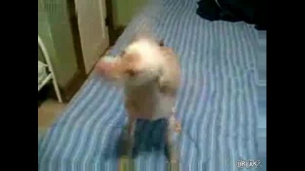 Тази кучка Всички омагьоса