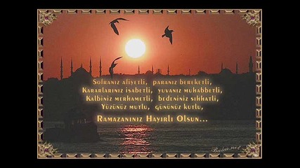 sesemes cami