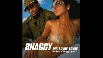 Shaggy - Mr.bombastic