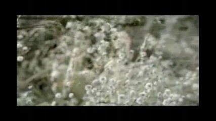 Haoagen Dazs Opera
