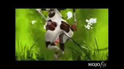 crazy cow dance