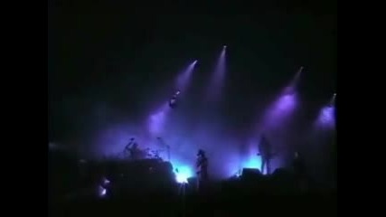 Speed Of Pain(live)