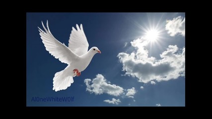 Scorpions - White Dove