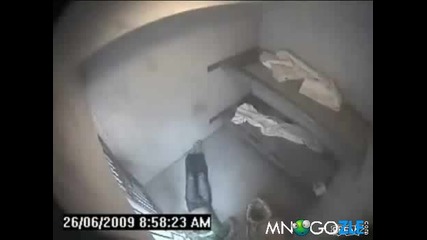 Затворник се гмурка в тоалетна 