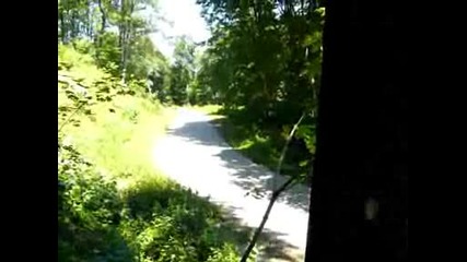 Stari stolici 2009