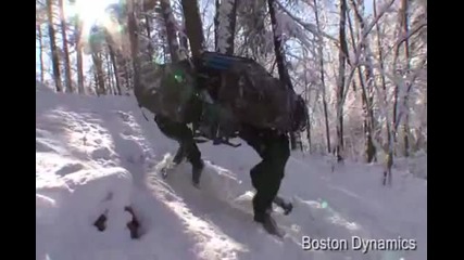 Big Dog 
