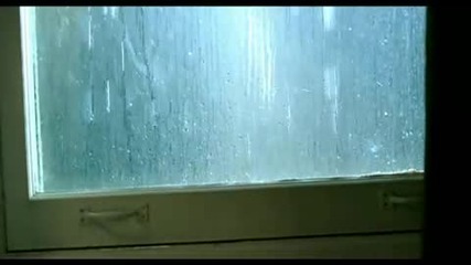 Taylor Swift-white horse