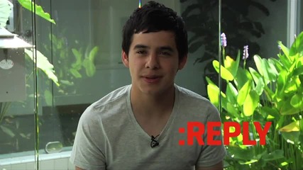 David Archuleta - Ask Reply 