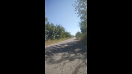 Vid_20230729_101056.mp4