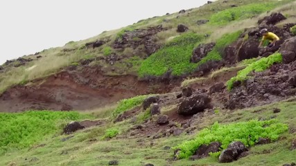 Freeride_downhill (hd)
