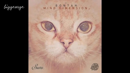 Bontan - State Of Mind ( Original Mix )