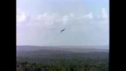 National Geographic - Bat Falcon