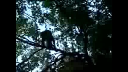 Parkour 2