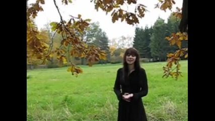 Nightwish Feel For You Our Video