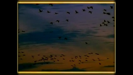 I Love You ( Chopin, Fantasia impromptu)