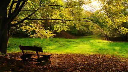 sky motion - autumn dreams януари 2010 
