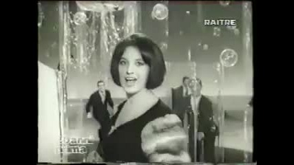 # Mina - Chihuahua - Renato - 1962 