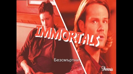 Winchester Brothers - Immortals