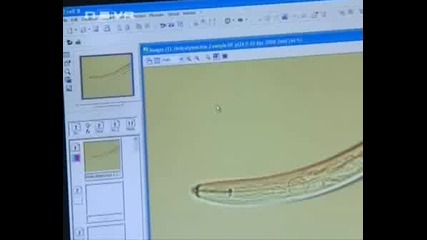 Темата На 20.09.2008 
