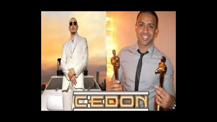 Jay Sean feat. Pitbull - Do It For U 