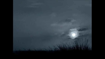 chris rea - just wanna be with you