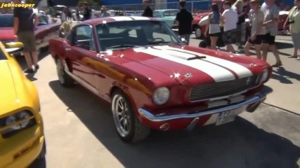 Ford Mustang Gt350 Shelby